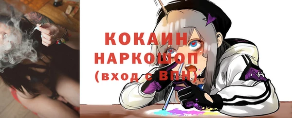 крисы Покачи