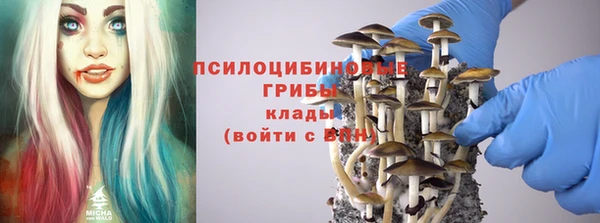 прущая мука Покров
