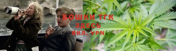 крисы Покачи