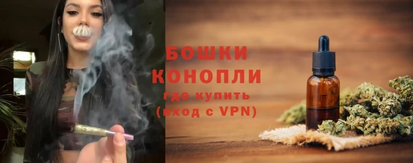 крисы Покачи