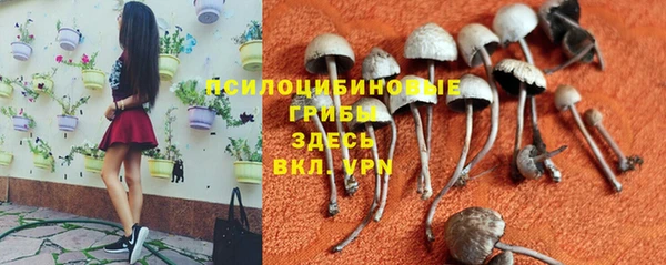 прущая мука Покров