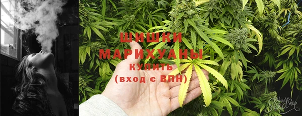 крисы Покачи