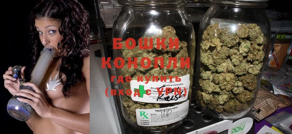 крисы Покачи