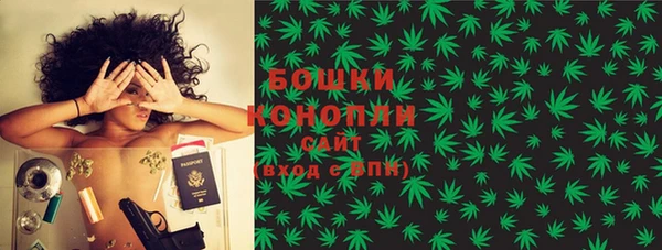 крисы Покачи